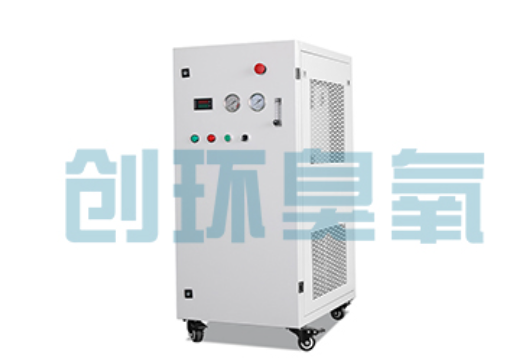 江津石斑鱼养殖水质调控完整指南：臭氧发生器配置与操作步骤