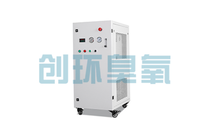 江津比传统换水更高效？臭氧发生器在石斑鱼养殖中的水质净化原理解析